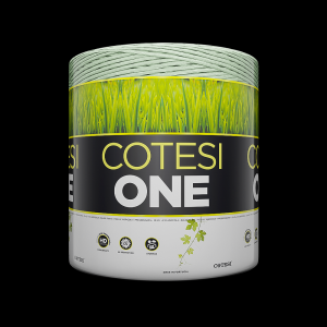 Cotesi One